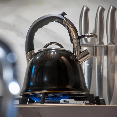 Housmart Previati 3 * 博洛尼亚